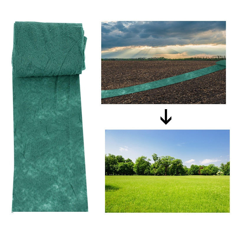Biogram - Tapete Biodegradável com Sementes de Grama